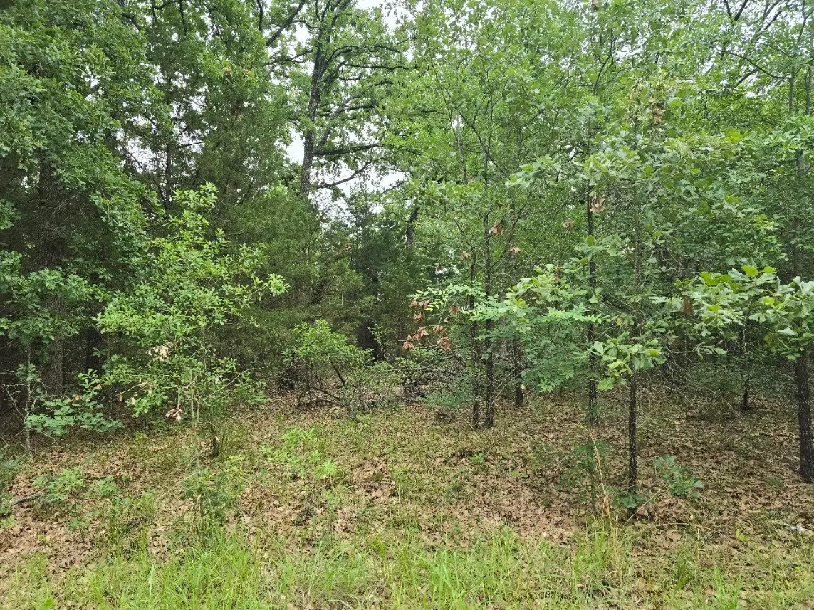 Lot 1007 Kickapoo Trail, Mabank, TX 75156 - #1
