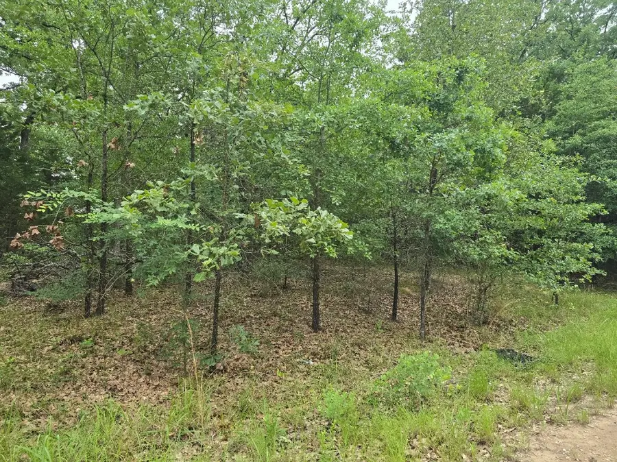 Lot 1007 Kickapoo Trail, Mabank, TX 75156 - #2