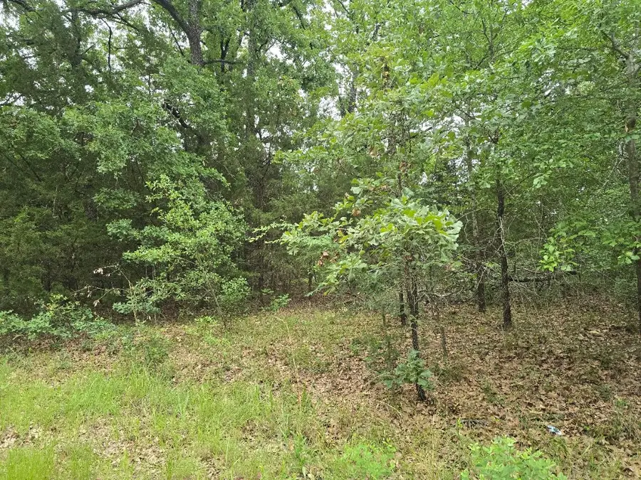 Lot 1007 Kickapoo Trail, Mabank, TX 75156 - #3