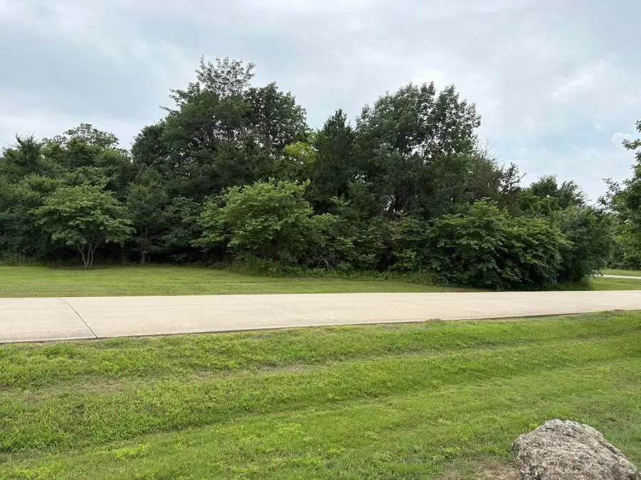 1757 Canyon Lake Road, Wills Point, TX 75169 - #2