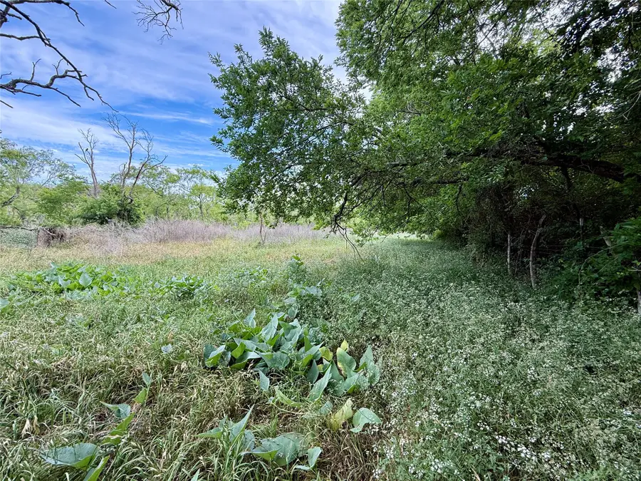 TBD Magnolia/ Chestnut Street, Hico, TX 76457 - #2