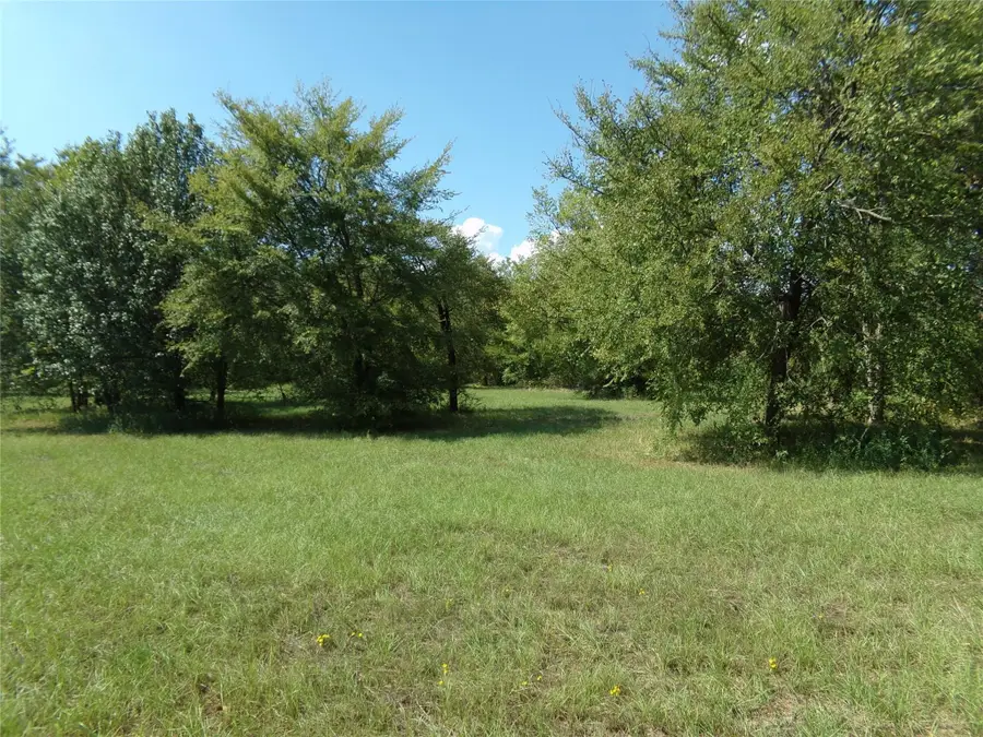 000 E Cherry Street, Paris, TX 75460 - #3