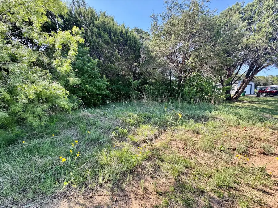 1033 Indian Drive, Granbury, TX 76048 - #2