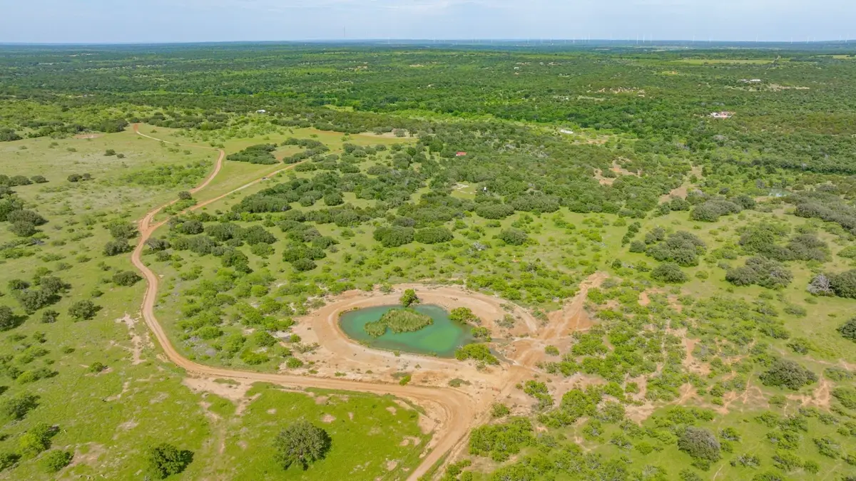 136 Moose Trail, Ranger, TX 76470 - #1