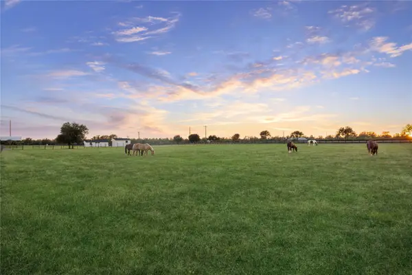 40570 Wild Life Run, Hempstead, TX 77445