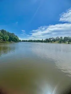 517 Private Road 7908, Hawkins, TX 75765 - #2