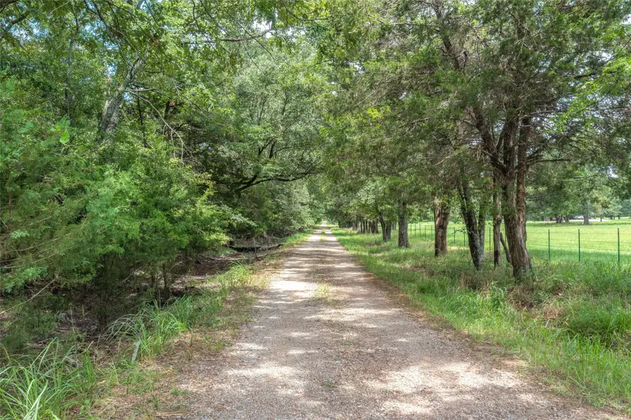 TBD Fm 1197, Yantis, TX 75497 - #2