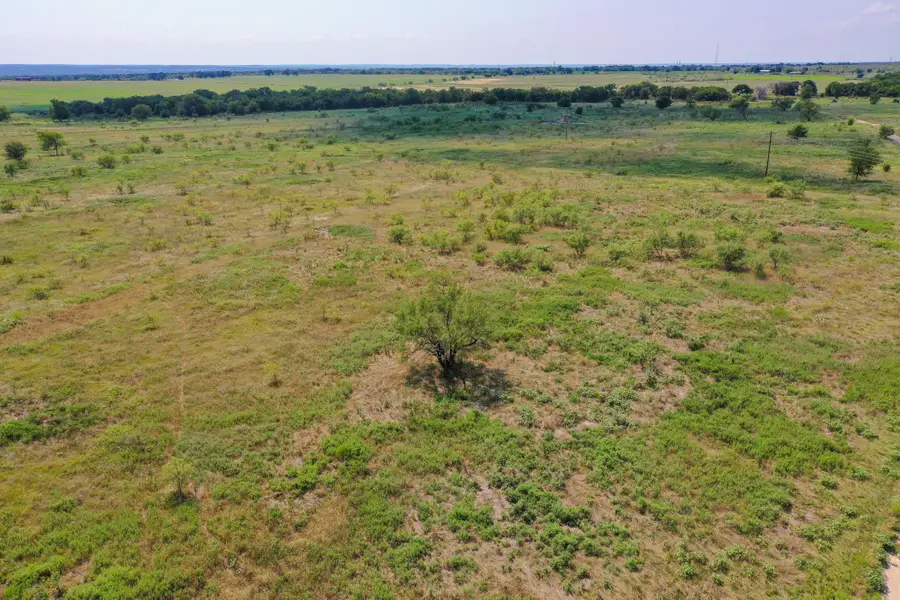 29.56 Acres Ballard Road, Jacksboro, TX 76458 - #2