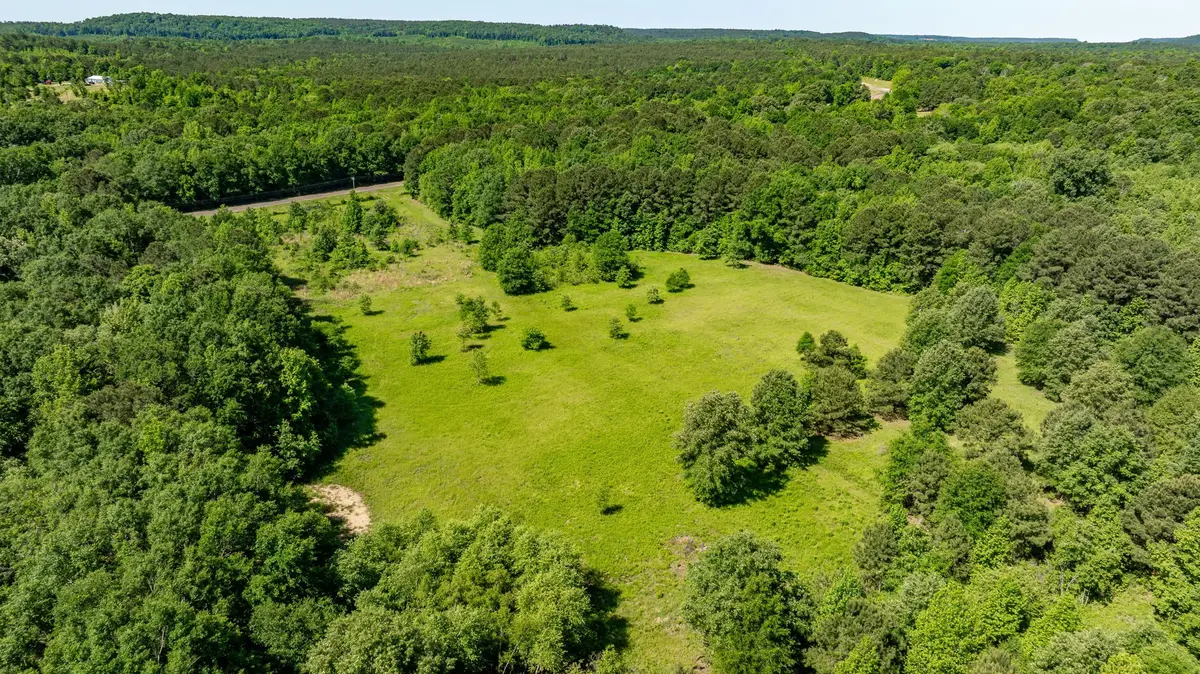 TBD Fm 557, Pittsburg, TX 75686 - #1