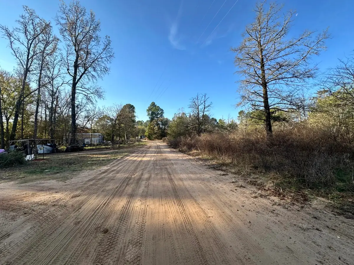 Lot 529 Hickory Lane, Mineola, TX 75773 - #1