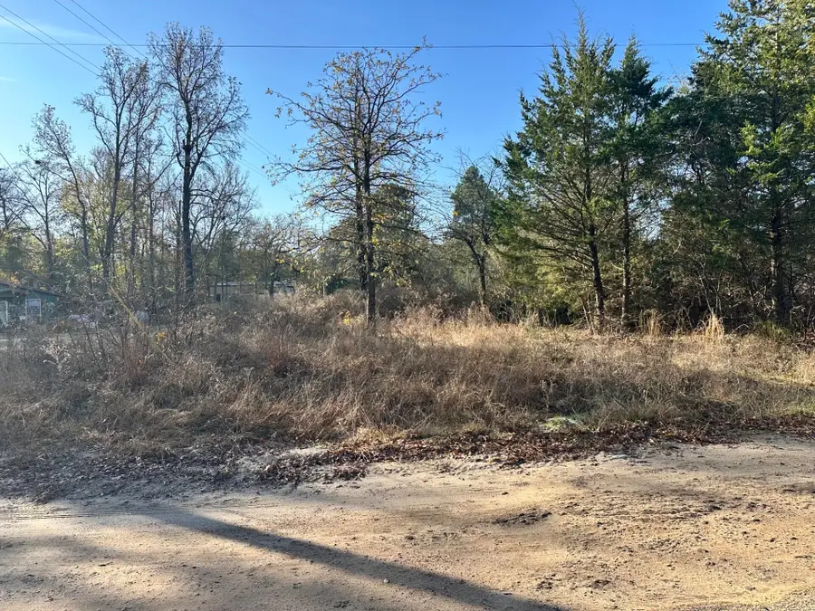 Lot 529 Hickory Lane, Mineola, TX 75773 - #2