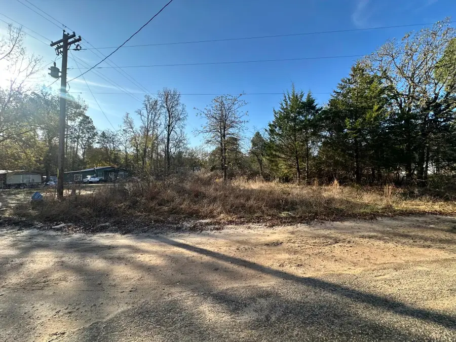 Lot 529 Hickory Lane, Mineola, TX 75773 - #3