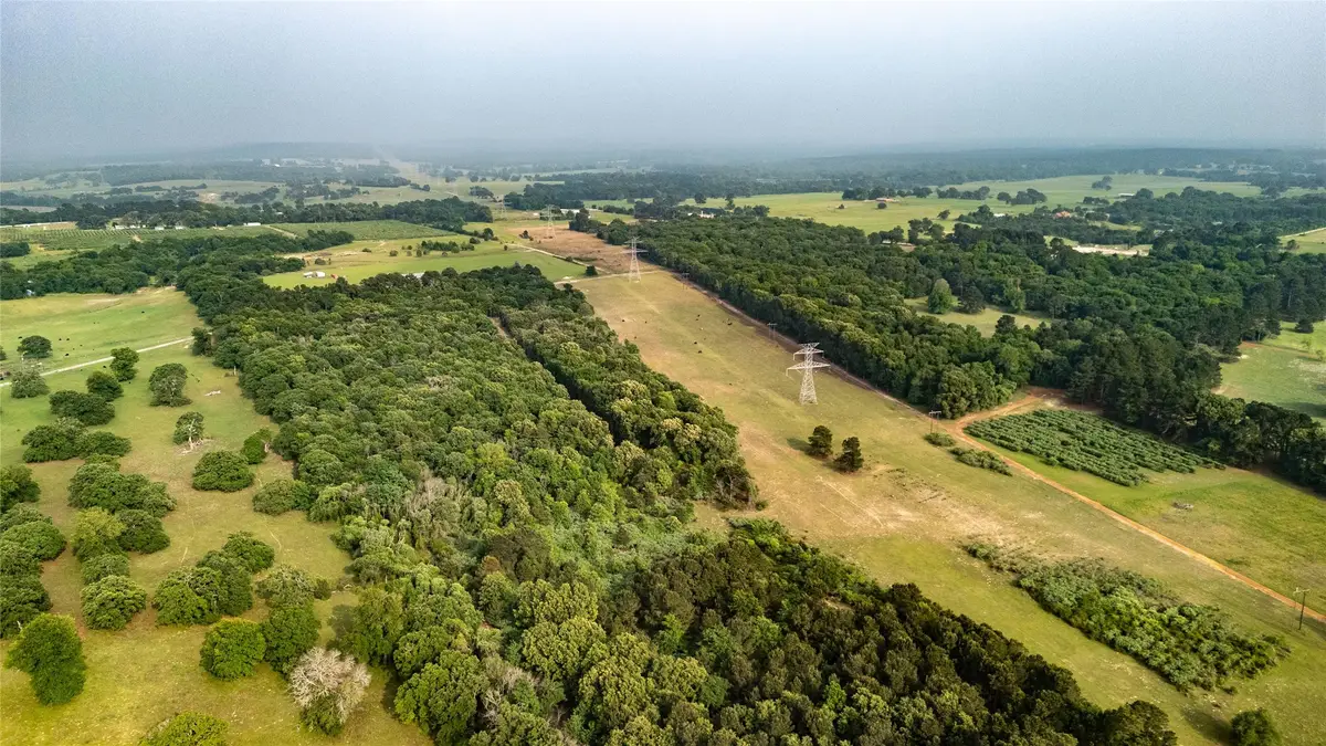 000 County Road 4520, Larue, TX 75770 - #1