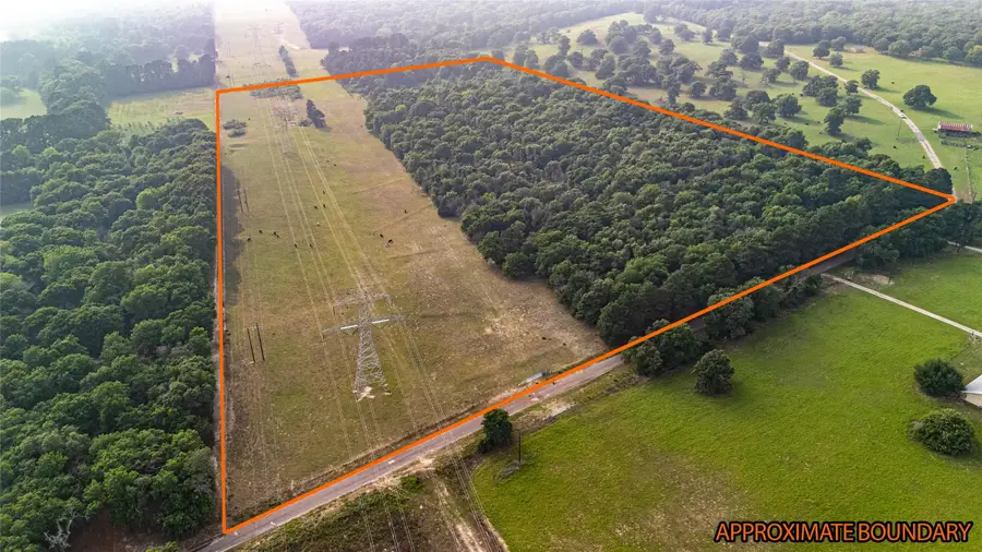 000 County Road 4520, Larue, TX 75770 - #2