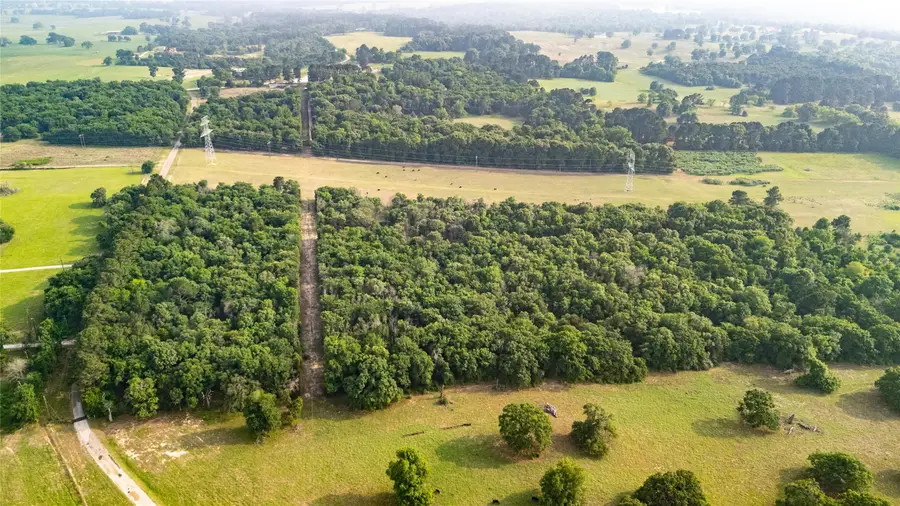 000 County Road 4520, Larue, TX 75770 - #3