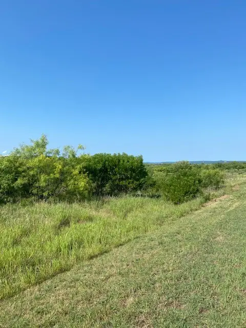 Lot 203 Evening Primrose Drive, Possum Kingdom Lake, TX 76449 - #1