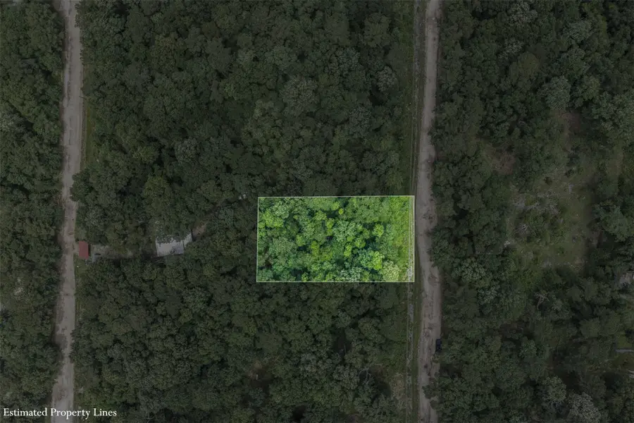 19116 Surrey, New Caney, TX 77357 - #3