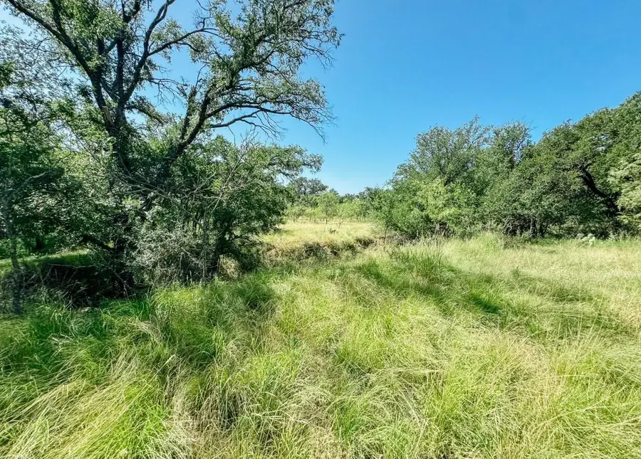 Lot 6 Morris Sheppard Drive, Brownwood, TX 76801 - #2