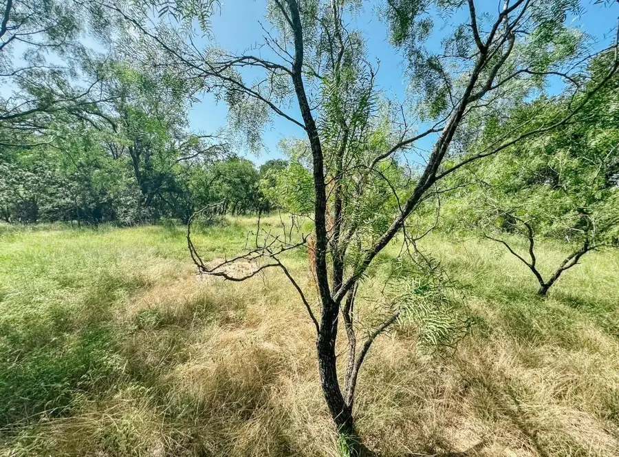 Lot 6 Morris Sheppard Drive, Brownwood, TX 76801 - #3