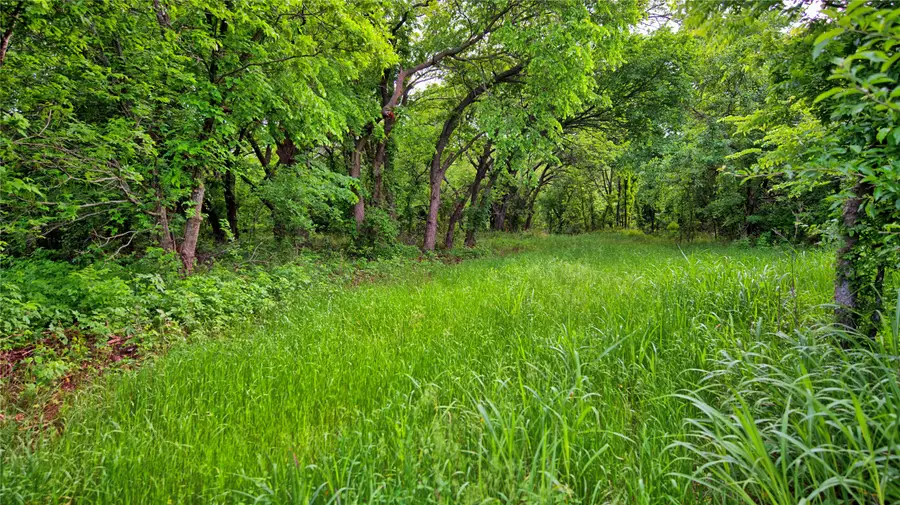 6500 Barrel Springs Road, Nocona, TX 76255 - #3
