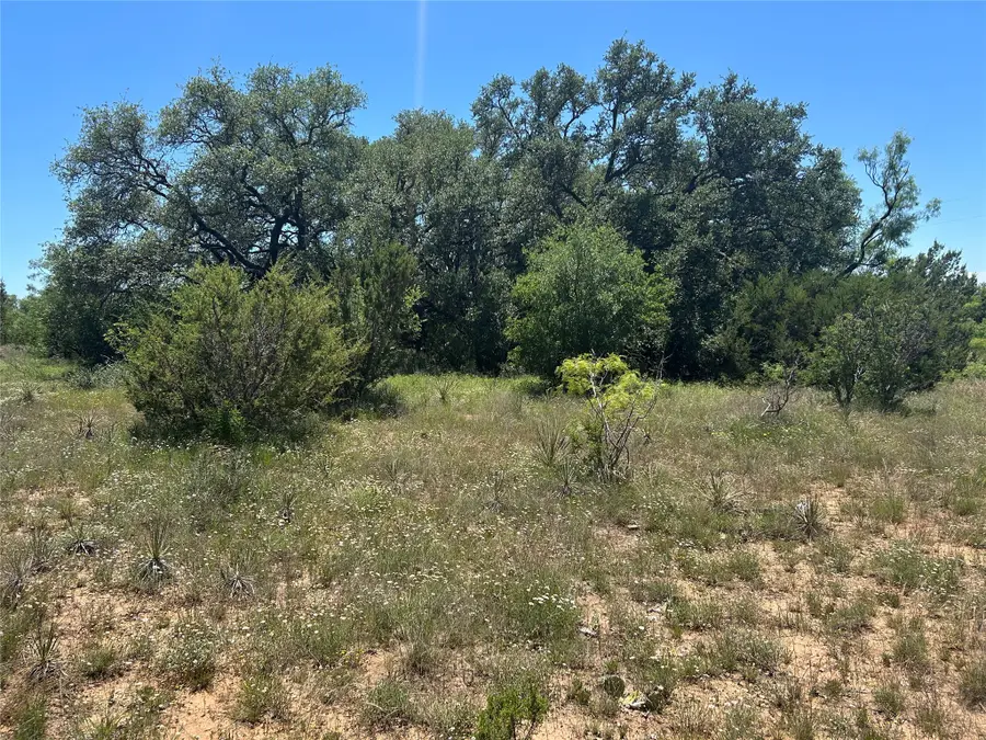 824 County Road 409, Talpa, TX 76882 - #2