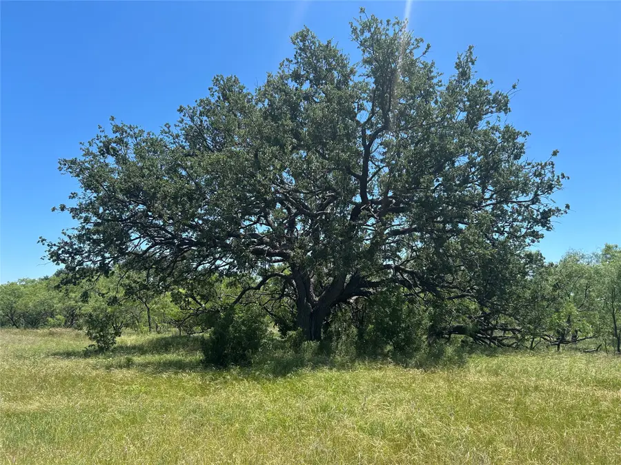 824 County Road 409, Talpa, TX 76882 - #3