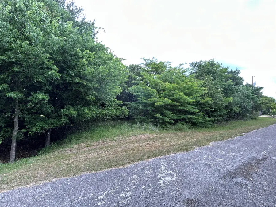 17162 & 21121 Trailwood Drive, Whitney, TX 76692 - #2