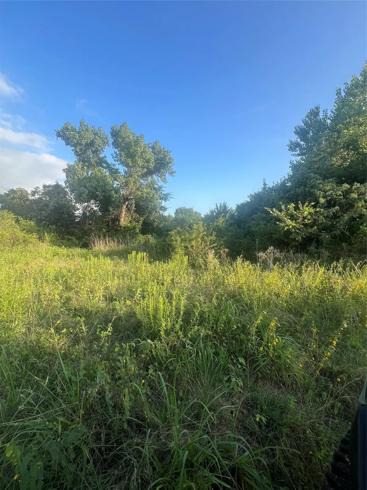 5549 S Fm 730, Decatur, TX 76234 - #1