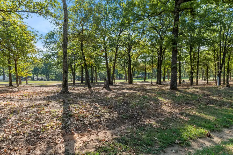 221 Colonial Drive, Mabank, TX 75156 - #2
