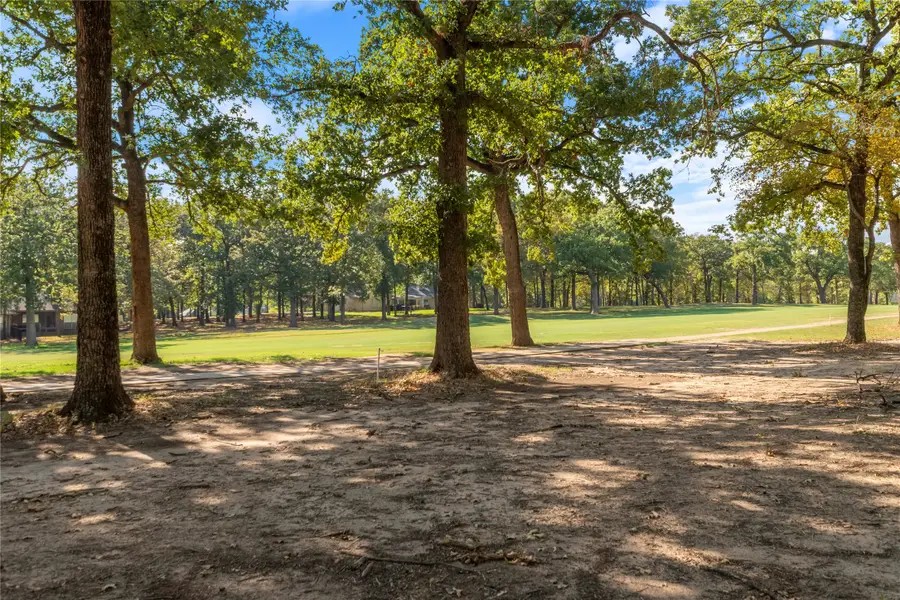 221 Colonial Drive, Mabank, TX 75156 - #3