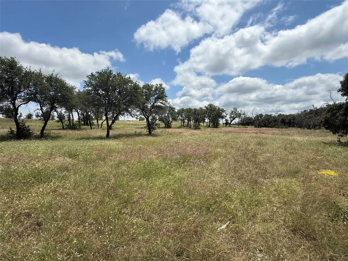 10131 Horizon View, Tolar, TX 76476 - #1