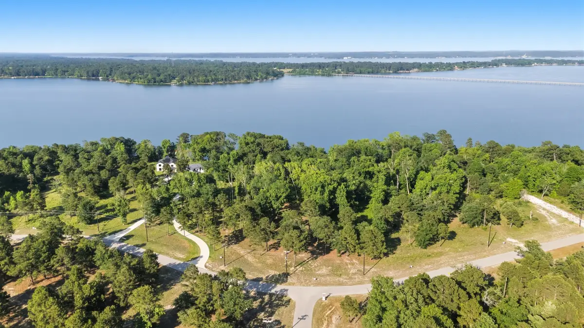 3132 Shadow Pine Drive, Larue, TX 75770 - #1