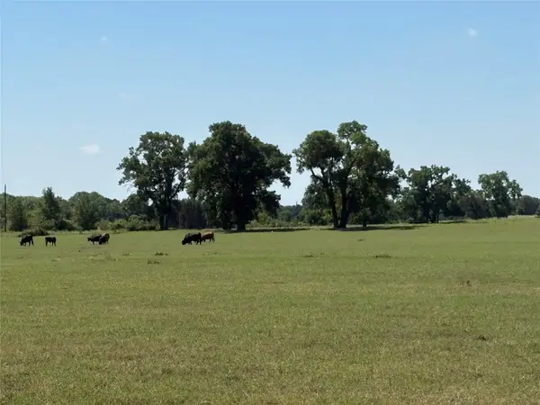 2966 Highway 679, Gorman, TX 76454