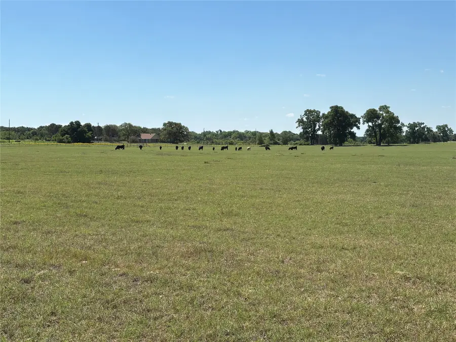 2966 Highway 679, Gorman, TX 76454 - #2