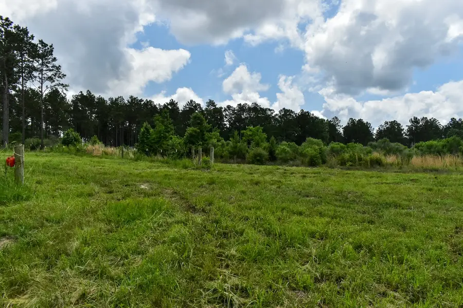 0 Oakdale Loop, Livingston, TX 77351 - #2