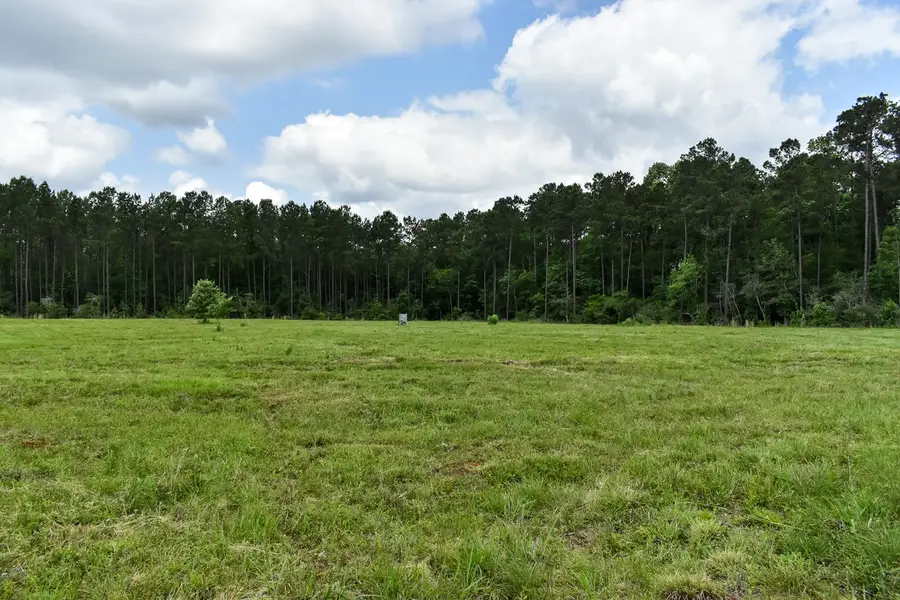 0 Oakdale Loop, Livingston, TX 77351 - #3
