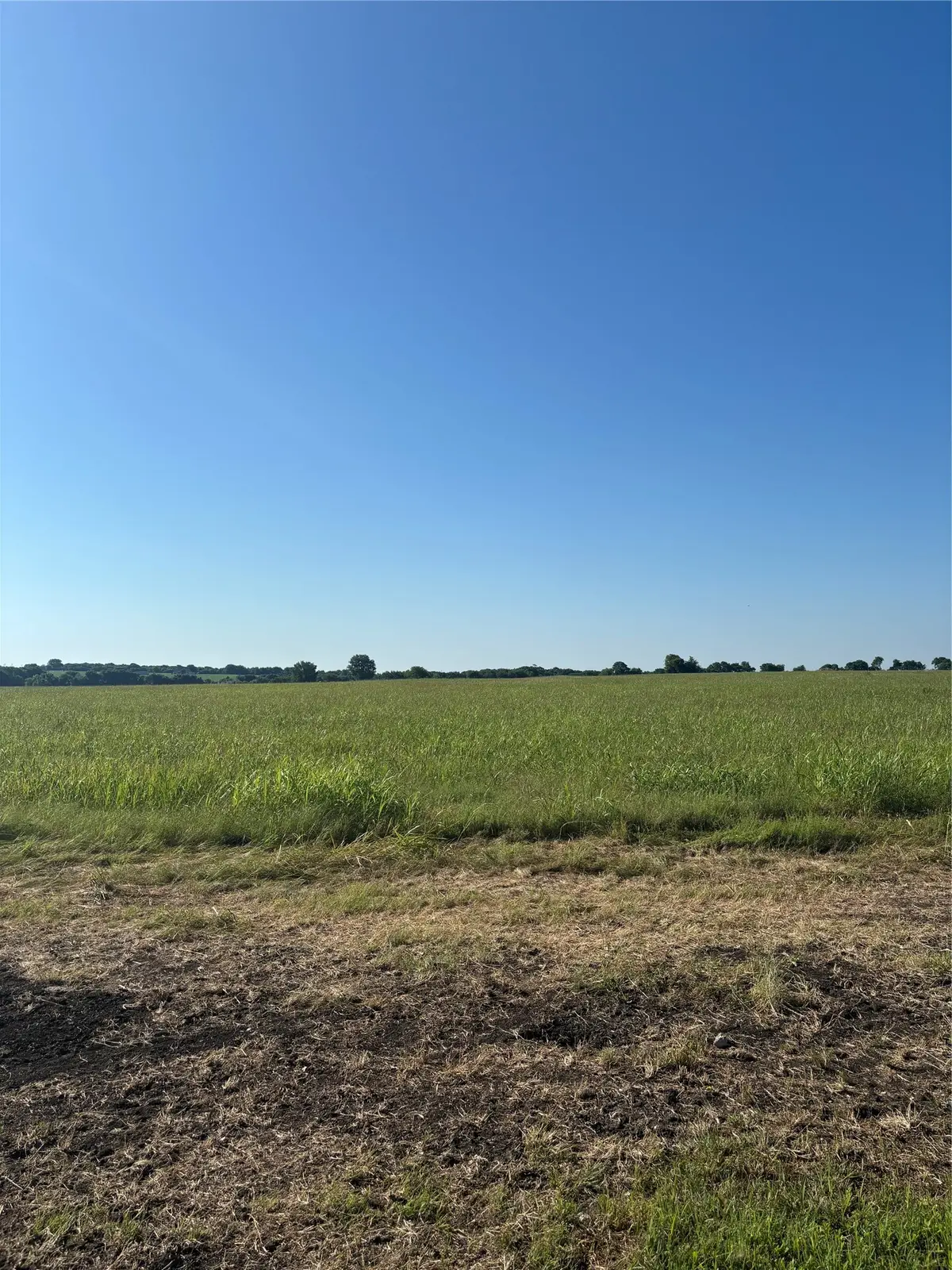 TBD Boz Road #4, Waxahachie, TX 75167 - #1