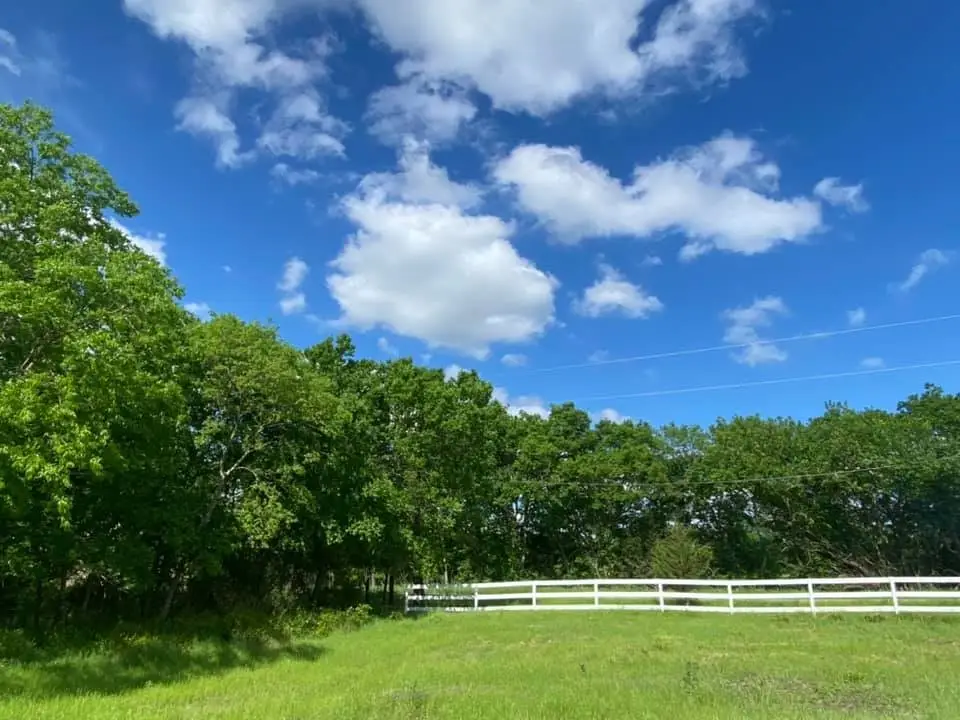 5656 County Road 1094, Celeste, TX 75423 - #1