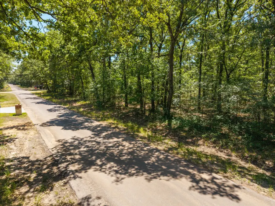 Lot 264 Beachwood Loop, Trinidad, TX 75163 - #2