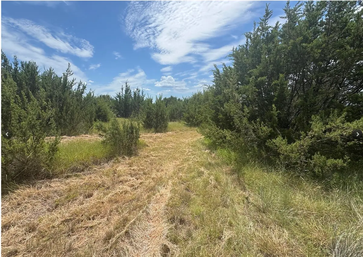 7800 Boswell Court, Lipan, TX 76462 - #1