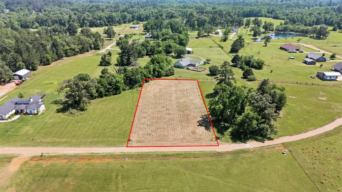 544 Vz Cr 4816, Ben Wheeler, TX 75754 - #1