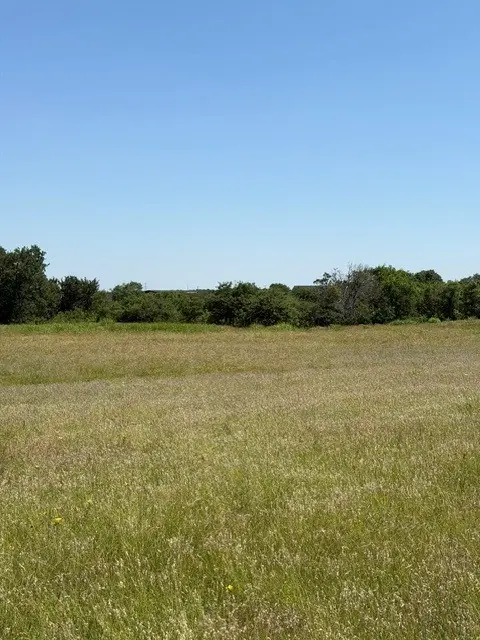 4100 Weiland Road, Weatherford, TX 76088 - #3