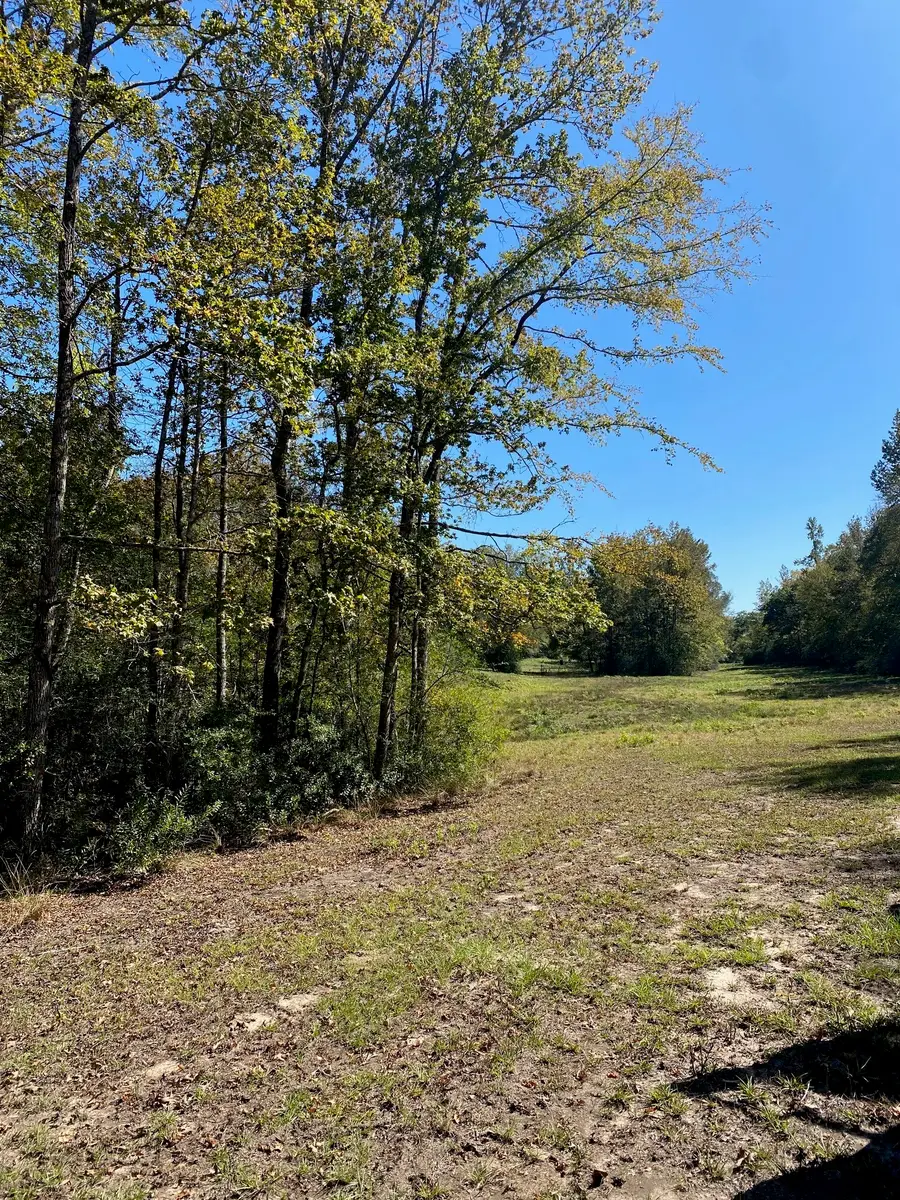 TBD 007 County Road 242, Oakwood, TX 75855 - #3