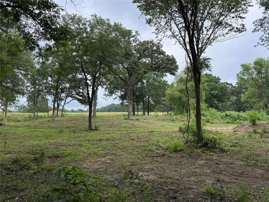 200 Livingston Street, Edgewood, TX 75117 - #3