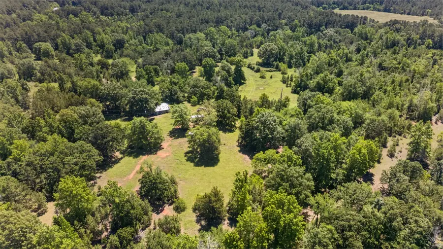 0 Anderson County Road 359 (off), Palestine, TX 75801 - #3