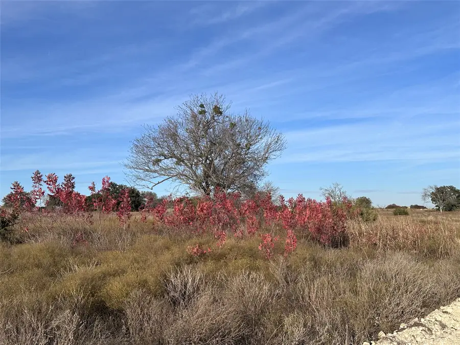 245 Grand Canyon Drive, Oglesby, TX 76561 - #3