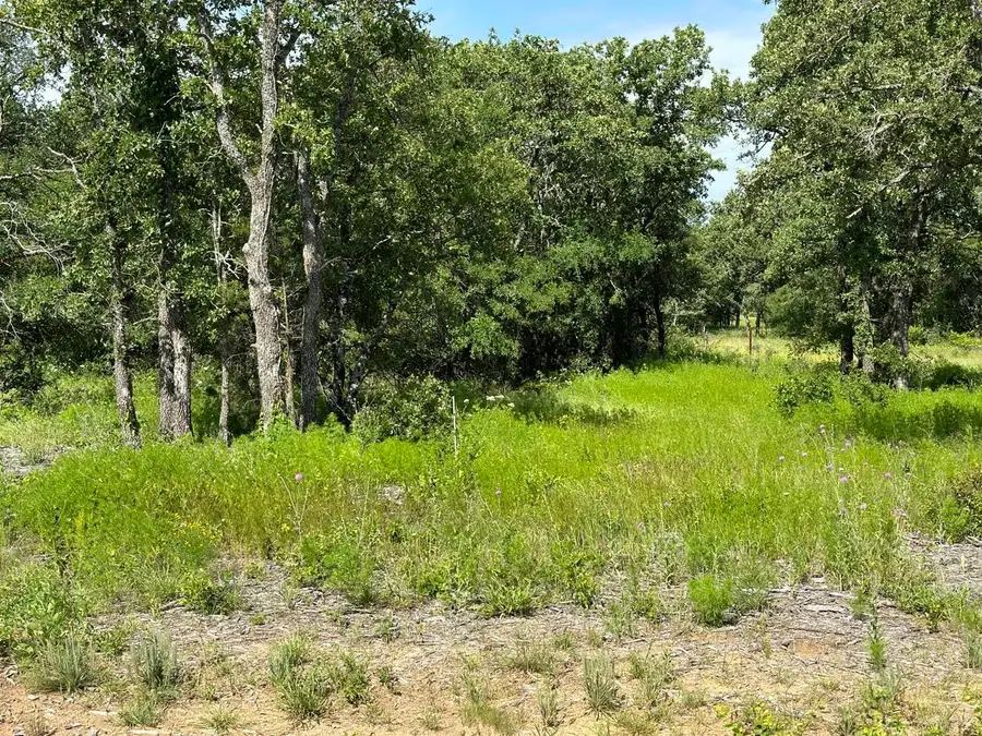 Lot 79 Paradise Oaks, Perrin, TX 76486 - #2