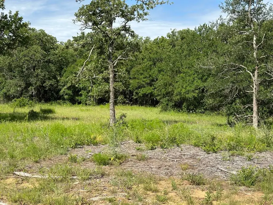 Lot 79 Paradise Oaks, Perrin, TX 76486 - #3