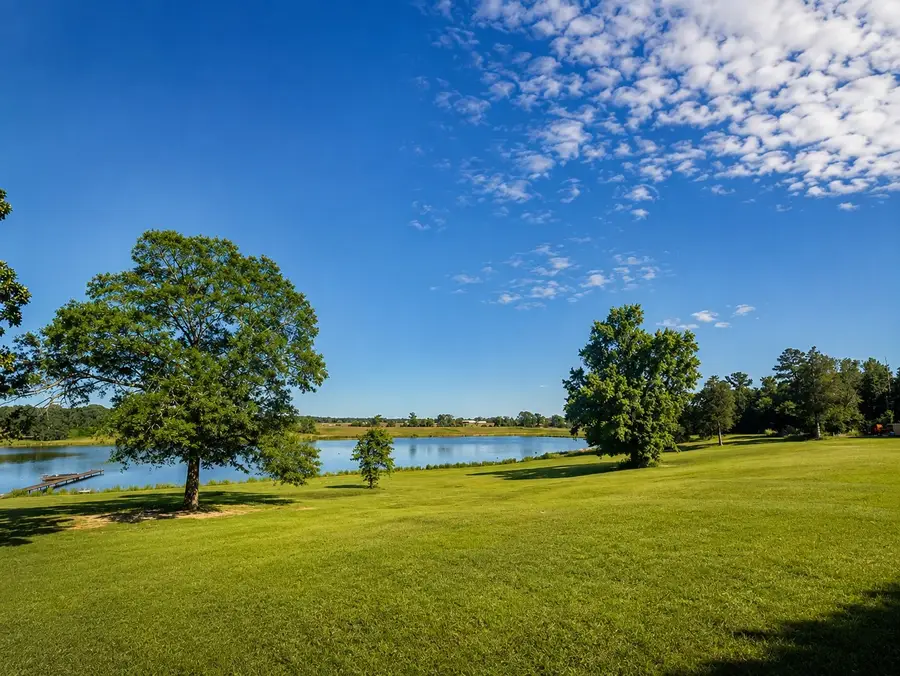 11843 Highway 175 E Highway, Larue, TX 75770 - #2