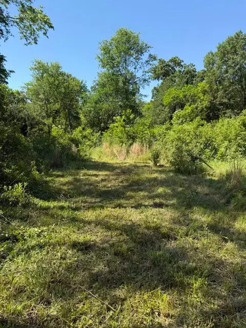 0 Forrester Street, Greenville, TX 75401 - #1